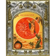 Икона освященная "Илия (Илья) Пророк", 14x18 см фото