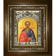 Икона освященная "Диомид Тарсянин Никейский, врач, мученик", в киоте 20x24 см фото