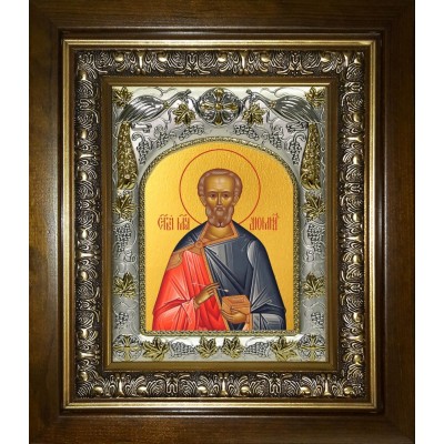 Икона освященная "Диомид Тарсянин Никейский, врач, мученик", в киоте 20x24 см фото