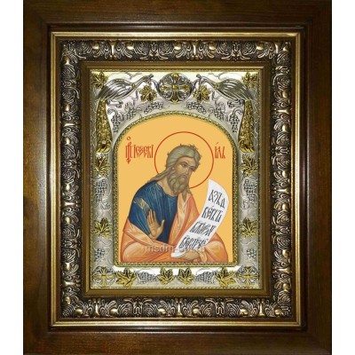 Икона освященная "Иезекииль пророк", в киоте 20x24 см фото