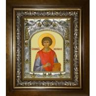 Икона освященная "Пантелеймон великомученик и целитель", в киоте 20x24 см фото