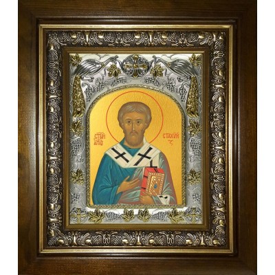 Икона освященная "Стахий епископ Византийский, апостол", в киоте 20x24 см фото