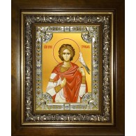 Икона освященная "Трифон мученик", в киоте 24x30 см фото