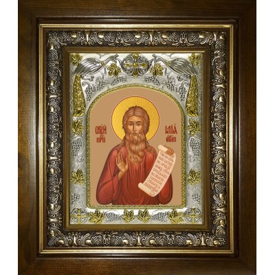 Икона освященная "Илия (Илья) Египетский", в киоте 20x24 см фото