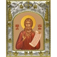 Икона освященная "Илия (Илья) Египетский", 14x18 см фото