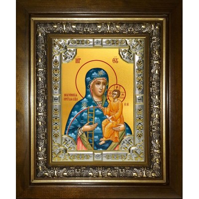 Икона освященная "Молченская икона Божией Матери", в киоте 24x30 см фото
