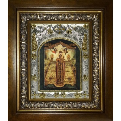 Икона освященная "Вертоград заключенный икона Божией Матери", в киоте 20х24 см фото
