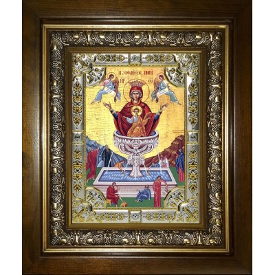 Икона освященная "Живоносный источник Божией Матери", в киоте 24x30 см фото