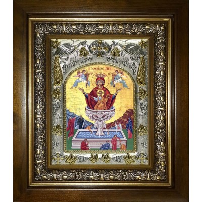 Икона освященная "Живоносный источник Божией Матери", в киоте 20x24 см фото