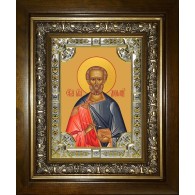 Икона освященная "Диомид Тарсянин Никейский, врач, мученик", в киоте 24x30 см фото