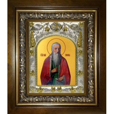 Икона освященная "Илия (Илья) пророк", в киоте 20x24 см фото