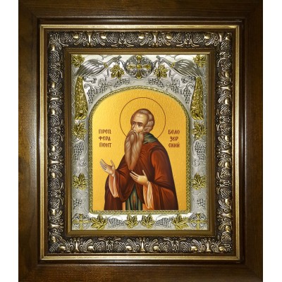 Икона освященная "Ферапонт Белозерский", в киоте 20x24 см фото